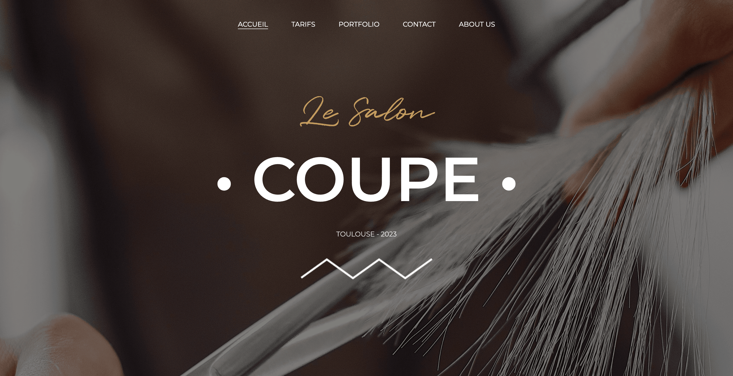 Image du site coiffure.theo-larrue.dev