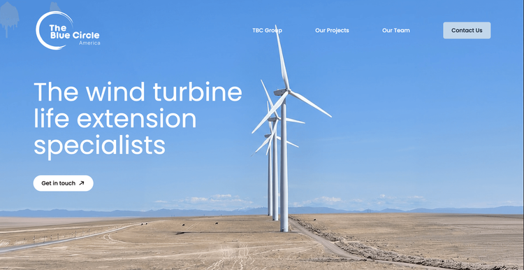 Image du site thebluecircleamerica.com